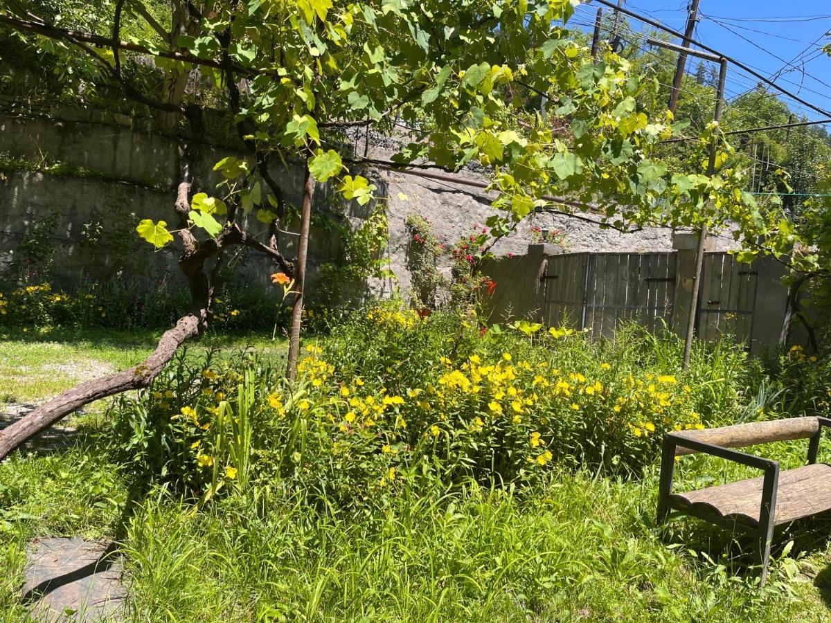 Borjomi Makvala'S Guest House Zewnętrze zdjęcie
