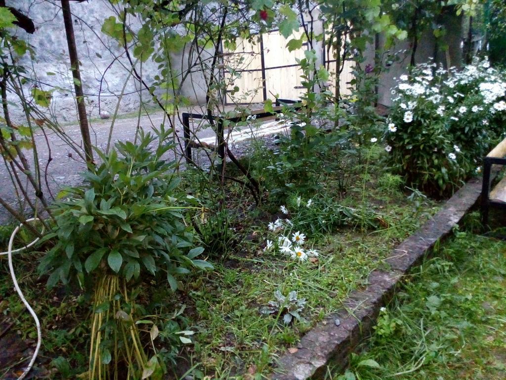 Borjomi Makvala'S Guest House Zewnętrze zdjęcie