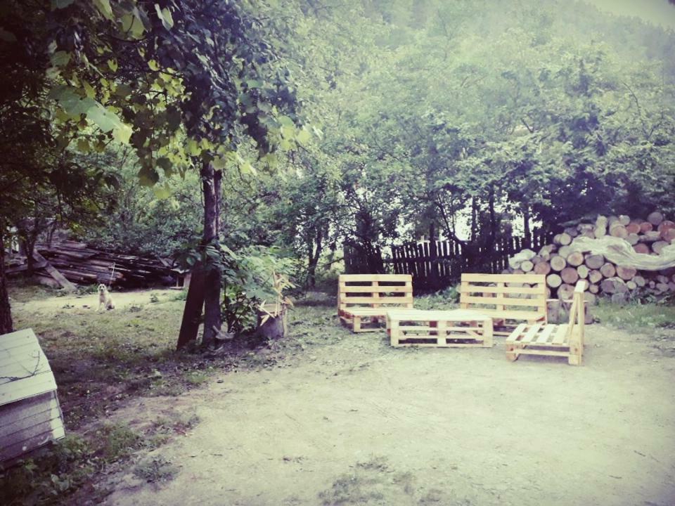 Borjomi Makvala'S Guest House Zewnętrze zdjęcie
