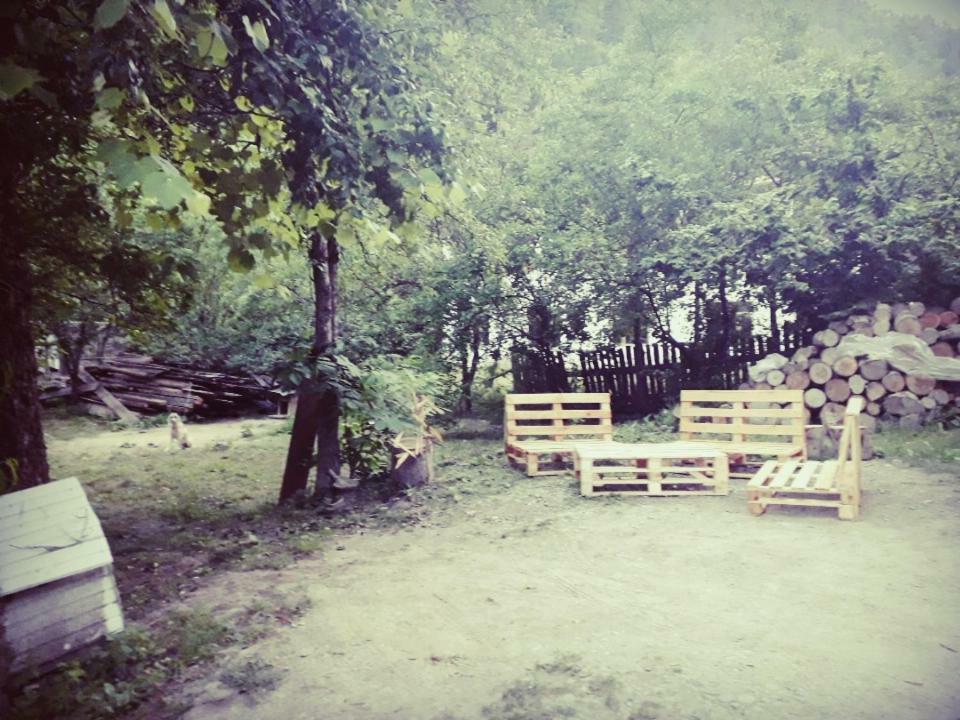 Borjomi Makvala'S Guest House Zewnętrze zdjęcie